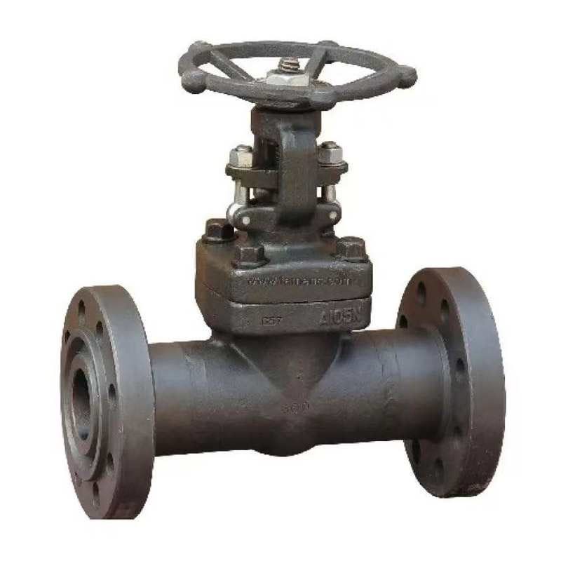 Gate Valve